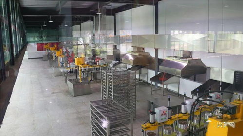 訪茶源,探好茶 正皓茶 云南茶山研學之旅圓滿成功