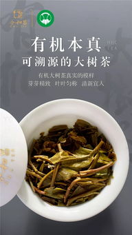 合和昌有機(jī)大樹(shù)餅茶 喝懂了,方知有機(jī)大樹(shù)茶的難能可貴