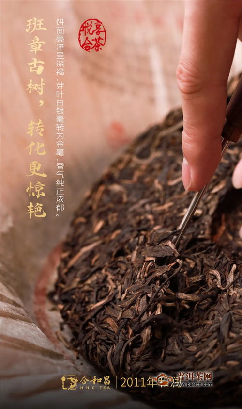 品味經典的歲月留芳——合和昌茶業與昌聯茶葉的傳承與創新