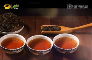 潤(rùn)元昌柑普茶 湖南廣電茶頻道傾情推薦，品味地道茶香